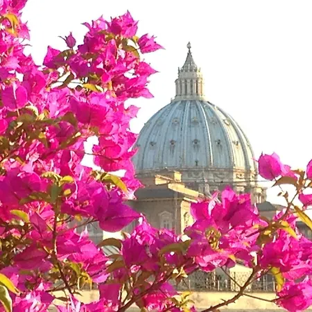 Hotel Dei Consoli Vaticano